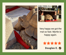 Heat Mats for Tortoise and Reptile - Red
