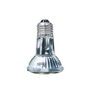 GoldenSun Basking Halogen Heater, 50 watt