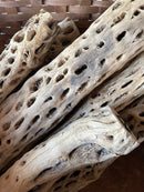 Cholla Wood