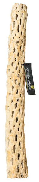 Cholla Wood