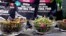 Optimised52 Freshly Pressed Tortoise Food
