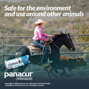 Reptile-Safe Panacur (Fenbendazole) Dewormer Paste, 25 gram 10%