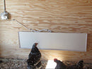 Radiant Heat Panel, Side Mount 11"x30"