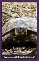 Russian Tortoises in Captivity - bean-farm
